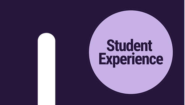 N - Student Experience